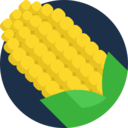 Corn