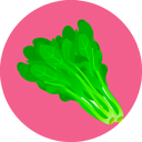 Spinach