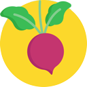 Beet