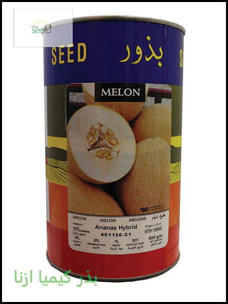 بذز ملون هیبرید دیزرت